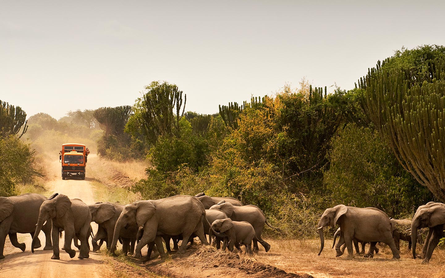 Queen Elizabeth National Park