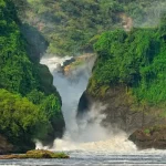 Murchison-Falls-National-Park
