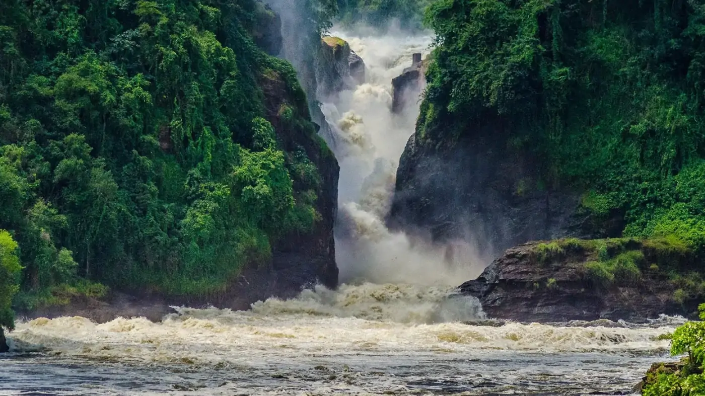 10 Days Best of Uganda Safari