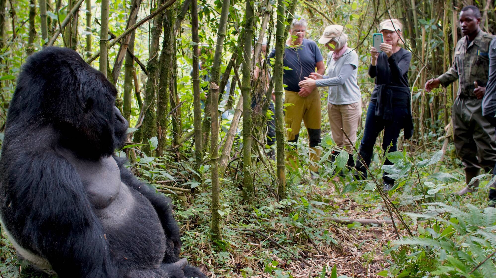 Akagera Bwindi Gorilla Trek