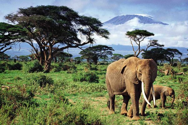 5-Day Kenya Wild Trails Safari