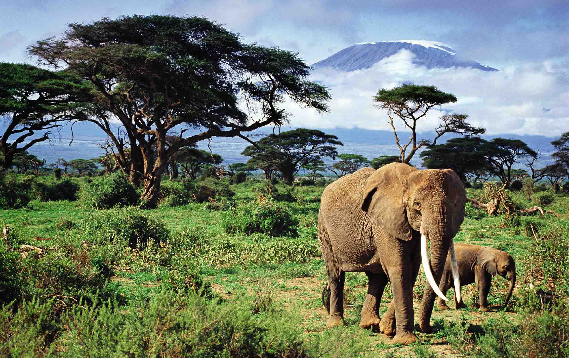 5-Day Kenya Wild Trails Safari