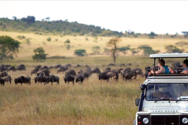 6-Day Exclusive Tanzania Luxury Wildlife Journey 6-Day Exclusive Tanzania Luxury Wildlife Journey