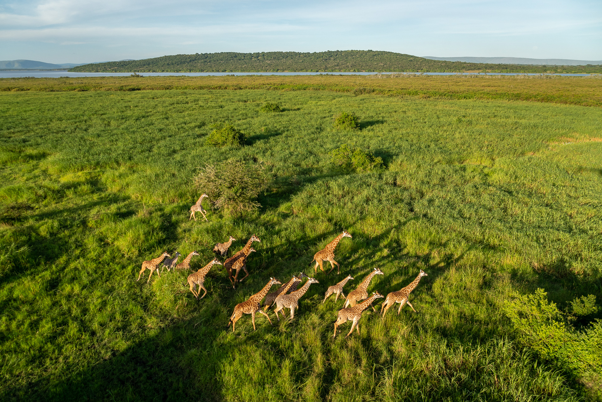 3 Days Akagera Wildlife Safari & Bwindi Gorilla Trek