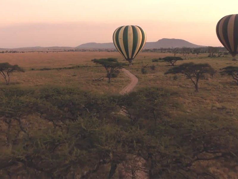 Hot Air Balloon Ride Africa Safari Adventures