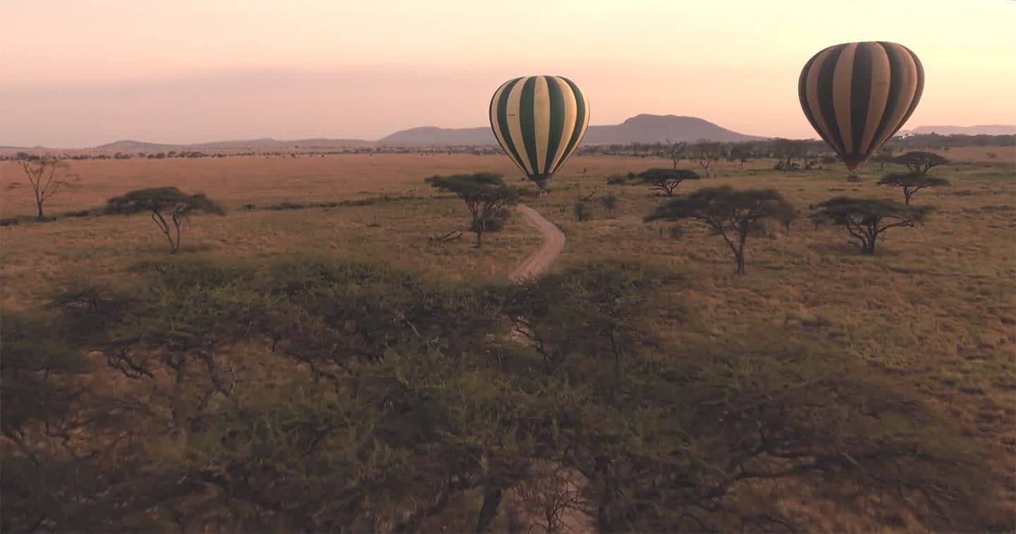 Africa Safari Adventures