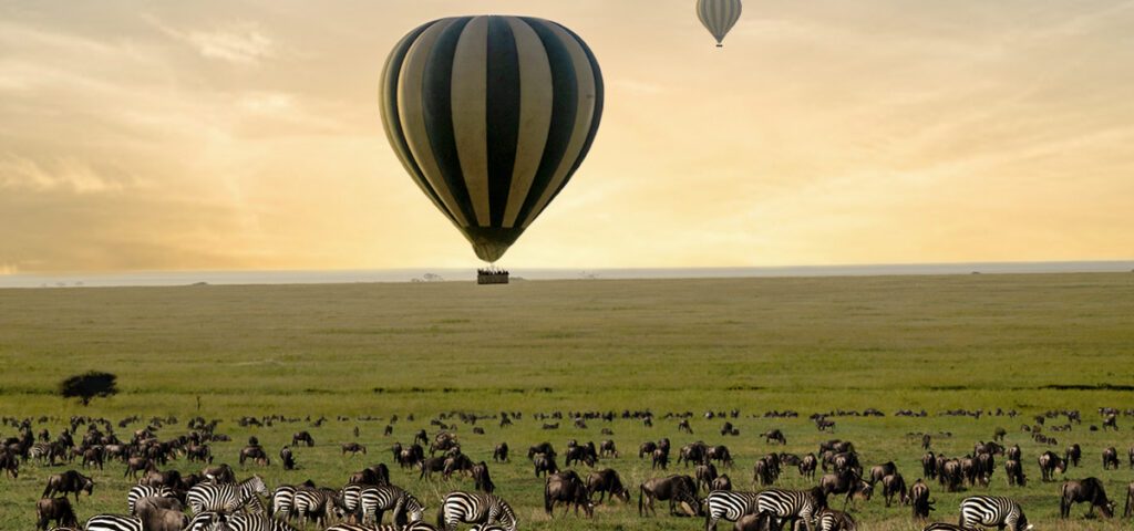 Africa Safari Adventures