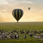Africa Safari Adventures