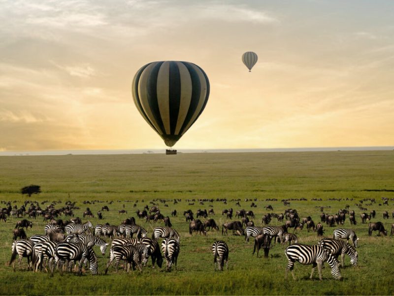 Hot Air Balloon Safari Africa Safari Adventures