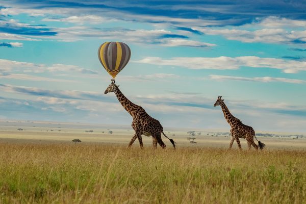 Hot Air Balloon Ride in Serengeti Africa Adventures