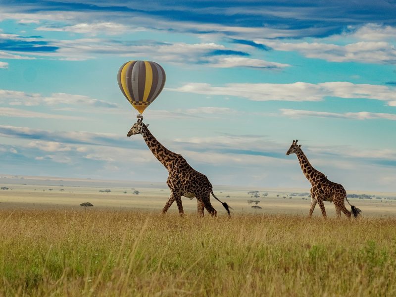 Hot Air Balloon Ride in Serengeti Africa Adventures