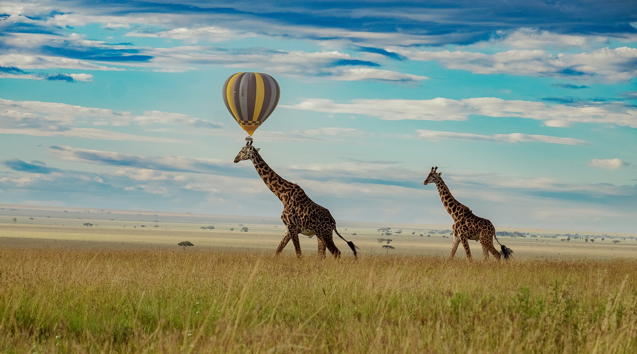 Africa Adventures