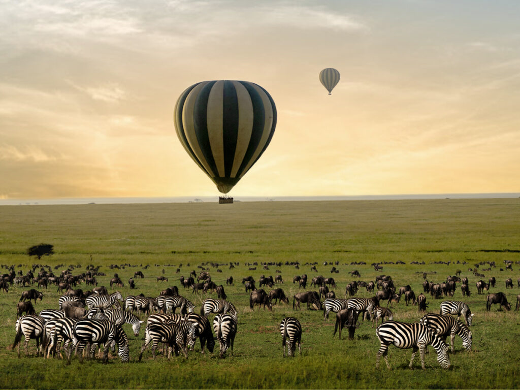 Africa Safari Adventures