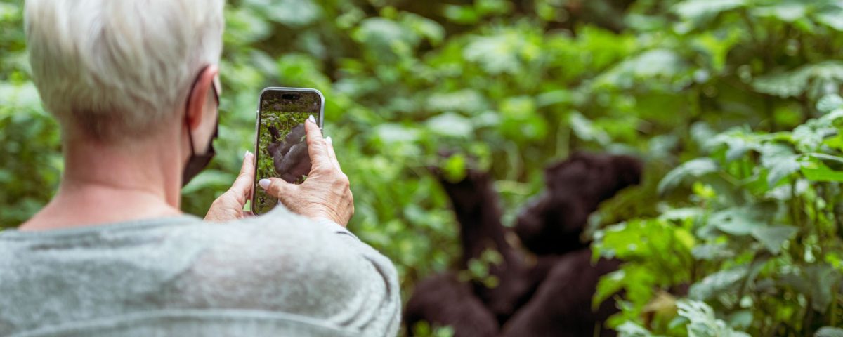 6 Days Rwanda Primates Safari