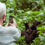 6 Days Rwanda Primates Safari