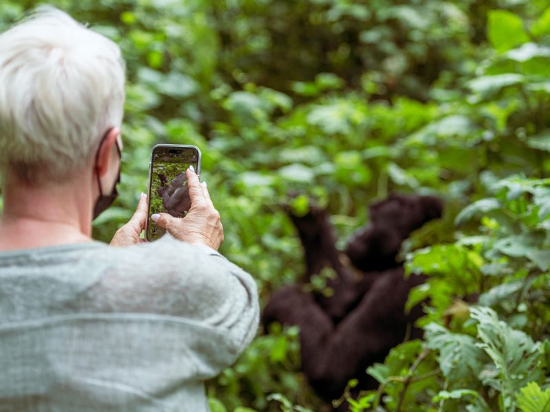 6 Days Rwanda Primates Safari