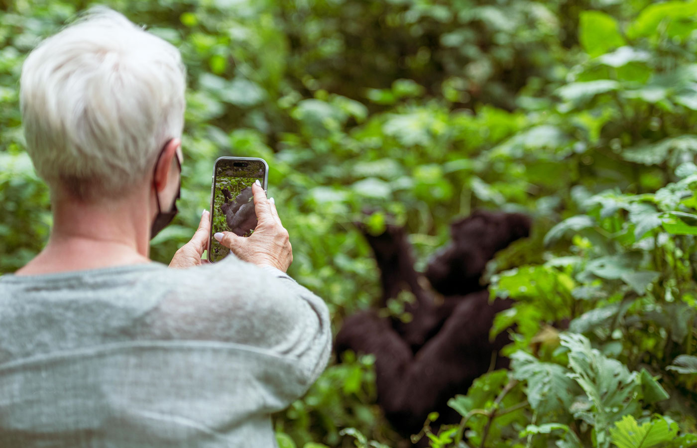 6 Days Rwanda Primates Safari