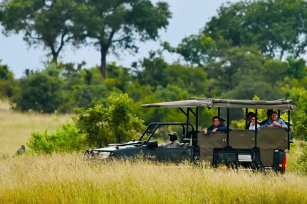Kenya Guided Game Drive Safaris Kenya Guided Game Drive Safaris