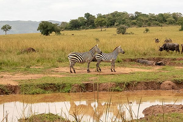 Kidepo