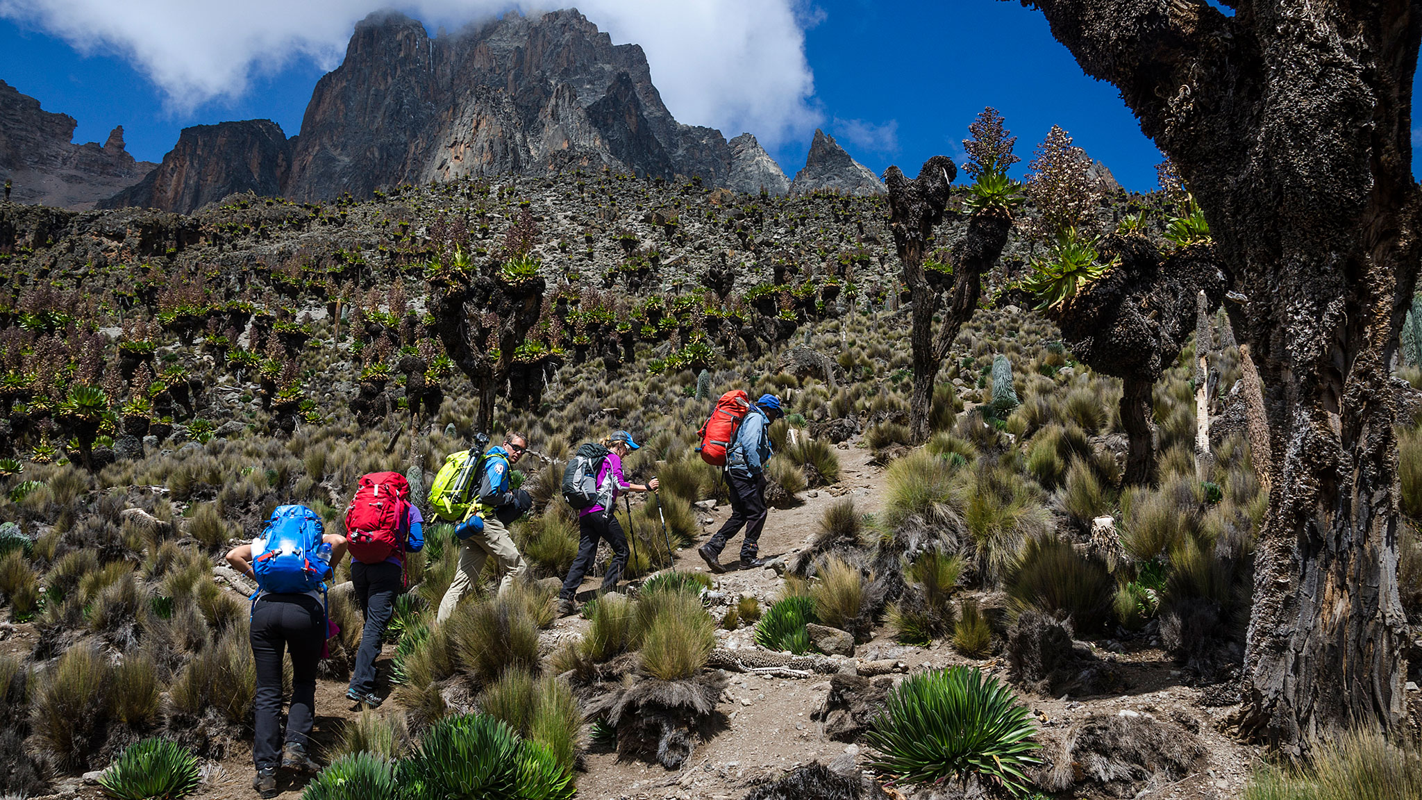 Mount Kilimanjaro