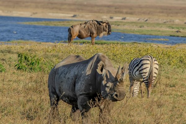 Ngorongoro Conservation Area2 Ngorongoro Conservation Crater