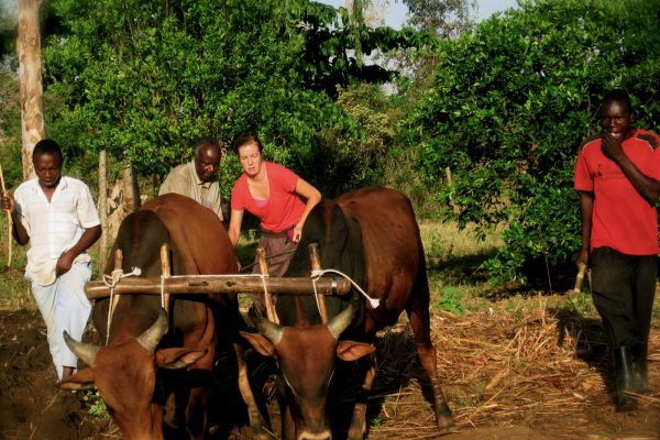 Uganda Village Home Stays Uganda Village Home Stays
