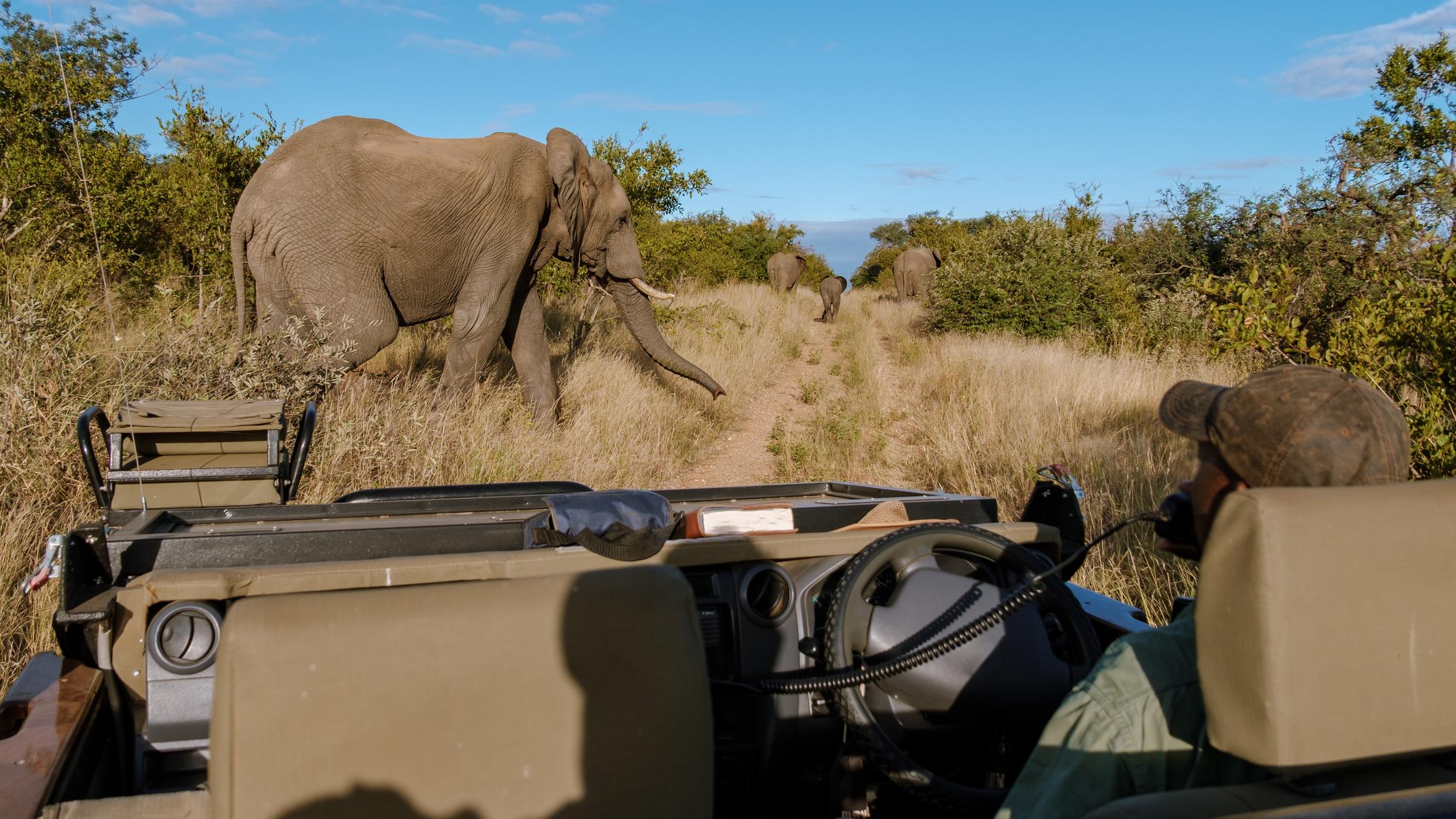 12 Days Uganda Safari Experience