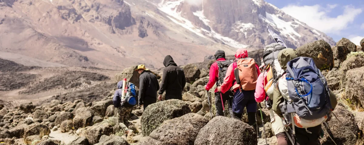 Uganda Mountain Hiking Safaris