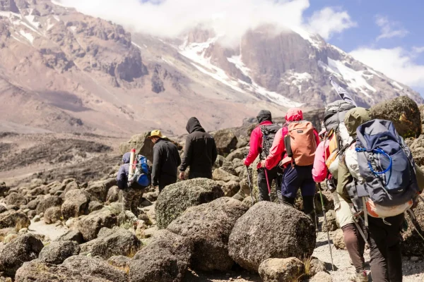 What is the best season for hiking Kilimanjaro Uganda Mountain Hiking Safaris