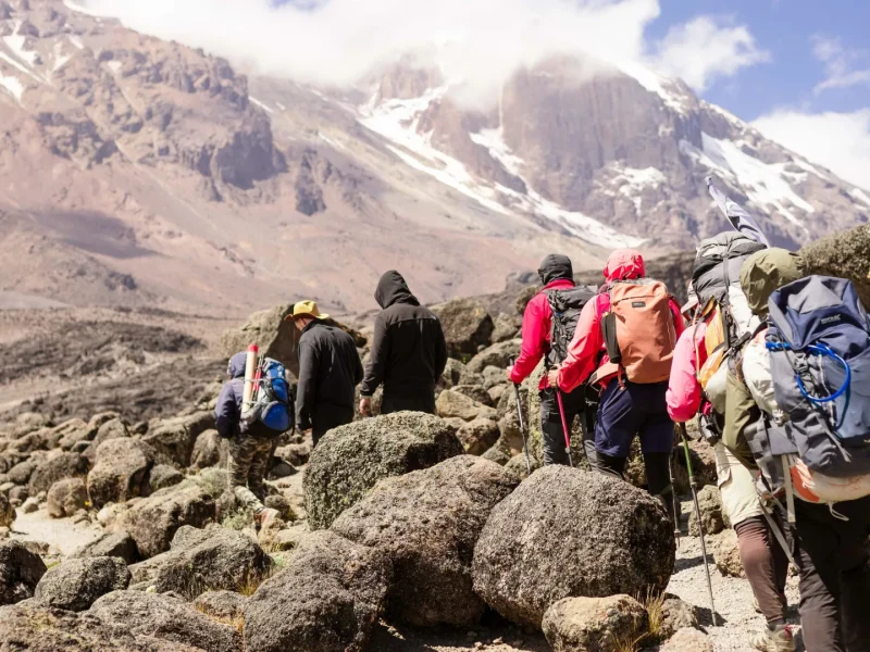 Uganda Mountain Hiking Safaris