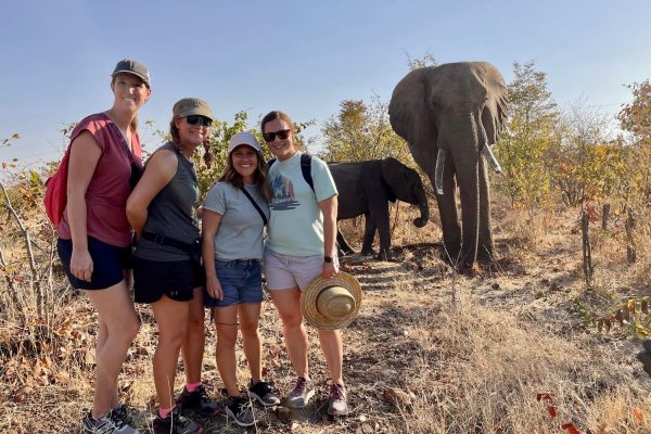 Why Are Group Safaris Better
