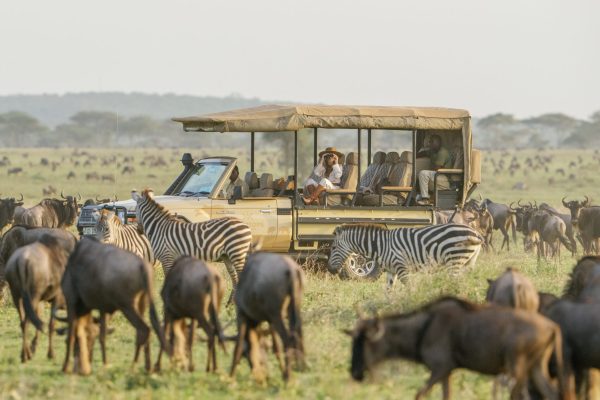 game drives in serengeti game drives in serengeti
