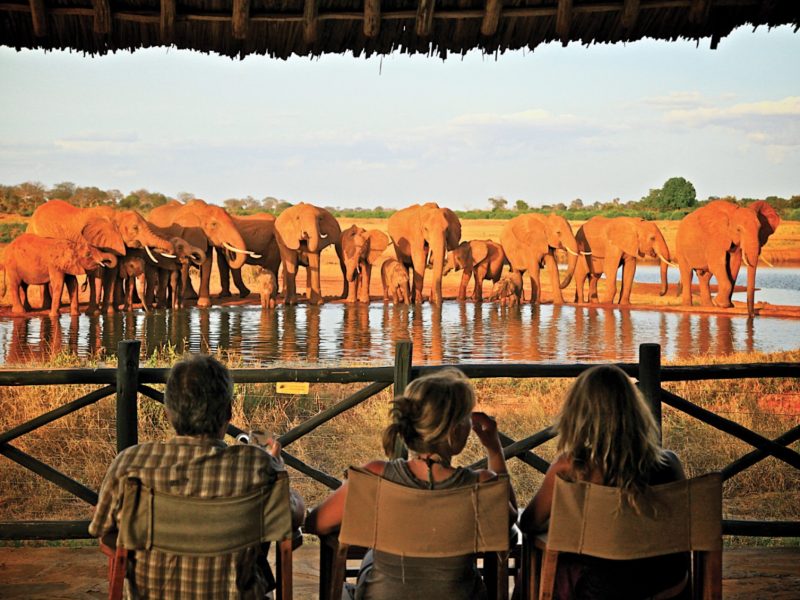Guided Safaris in Tsavo National Park