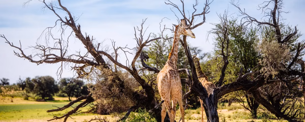 Why East Africa Should Be Your Next Adventure