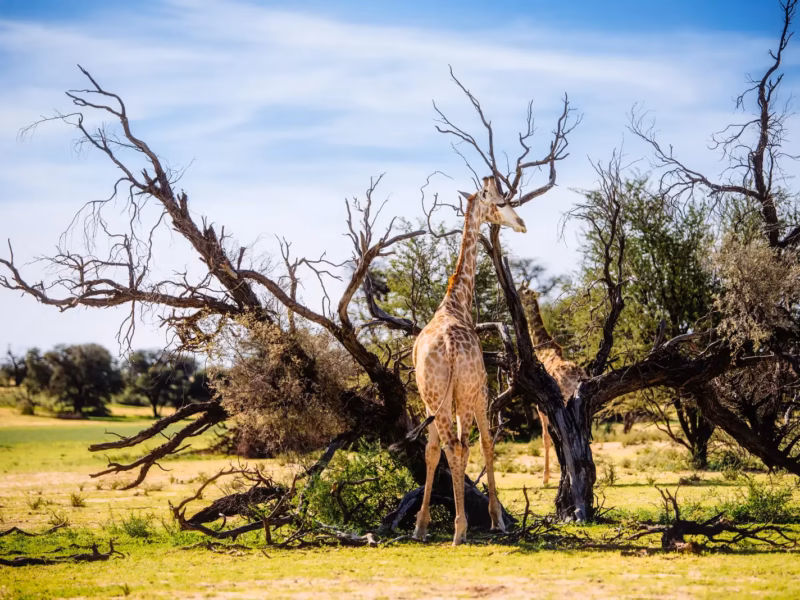 Why East Africa Should Be Your Next Adventure