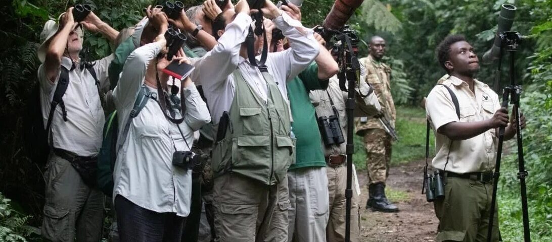What Binoculars Are Best for Birdwatching in Uganda, Kenya, Rwanda, and Tanzania?