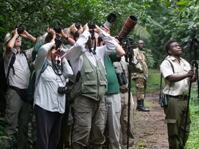 What Binoculars Are Best for Birdwatching in Uganda, Kenya, Rwanda, and Tanzania?