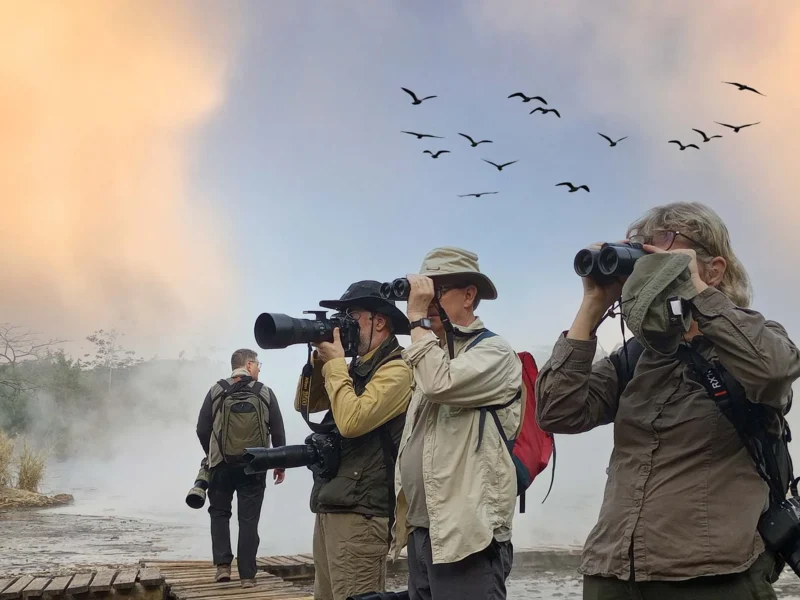What Equipment Should You Pack for a Birding Safari in East Africa?
